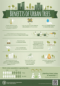 Benefits of urban trees infographics