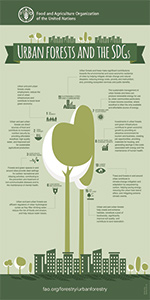 Urban Forests and the SDGs infographics